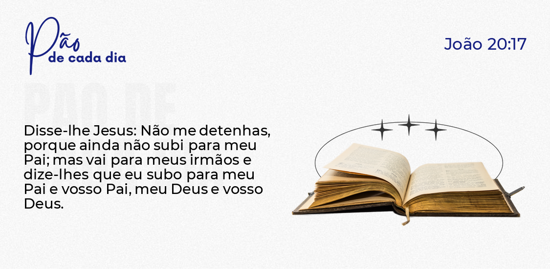Os Irmãos De Jesus
