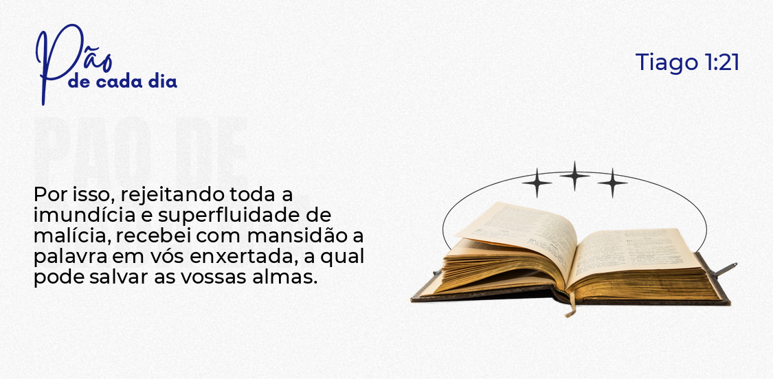 Palavra Que Transforma